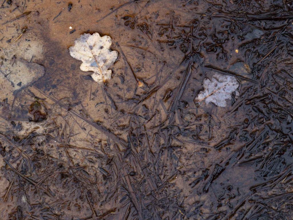 kwelwater borrelt op uit de grond op de Brunssummerheide