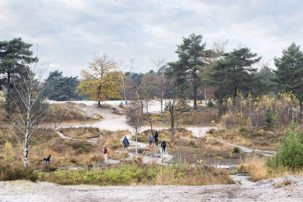 wandelaars op de Brunssummerheide