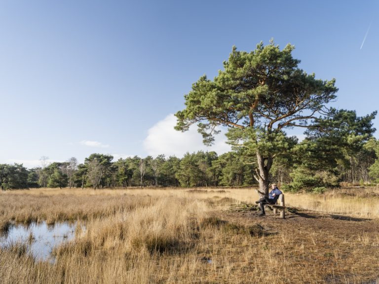strijbeekse heide