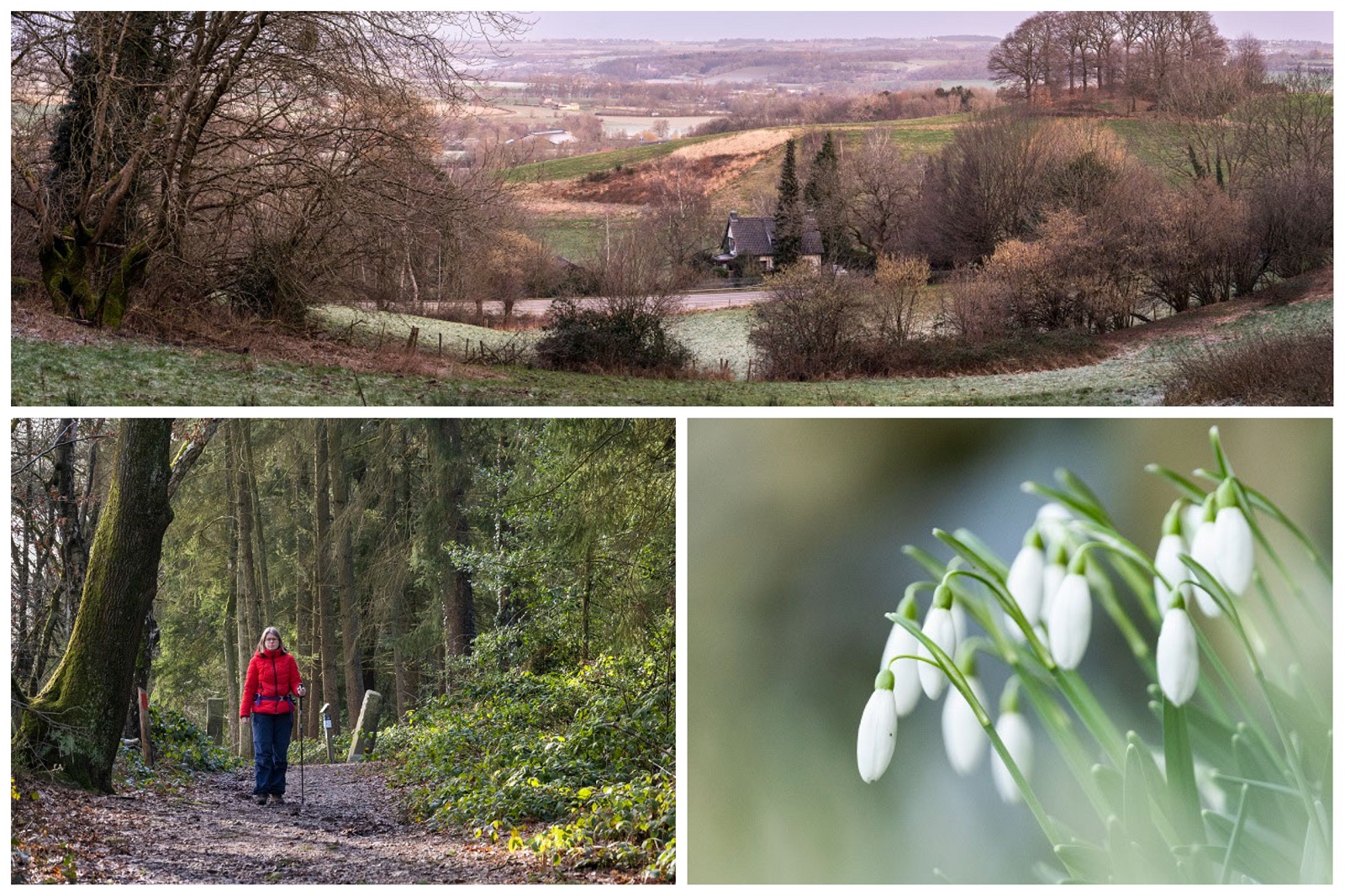 collage Vaalserberg