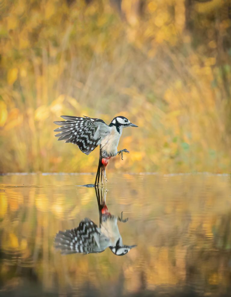 foto van de maand februari