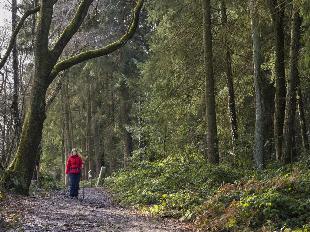 Wandelaar op Vaalserberg