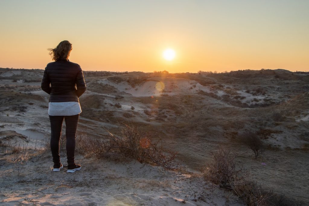 wandelaar kijkt uit over De Zilk in de Amsterdamse Waterleidingduinen