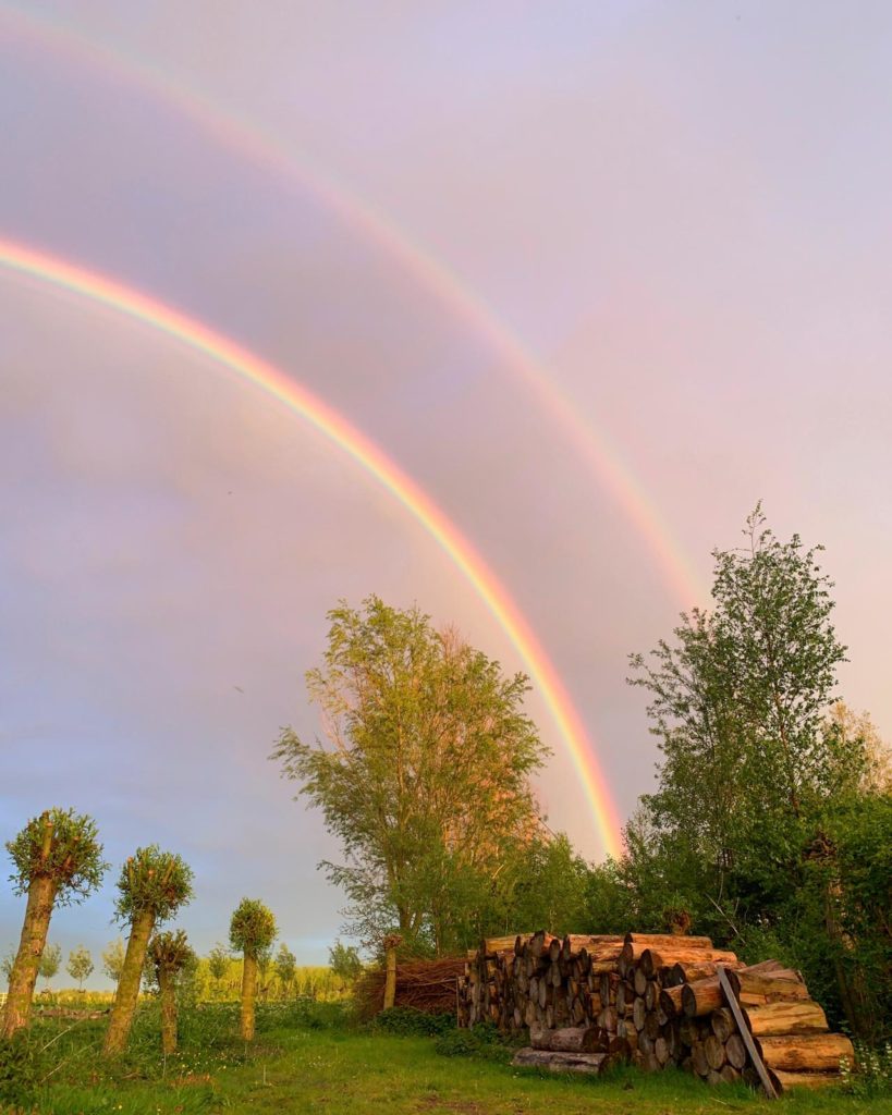 ontstaan regenbogen