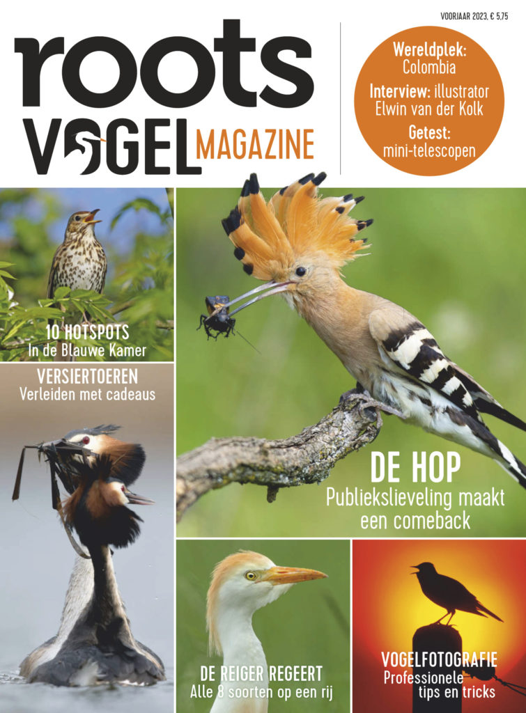 Roots Vogelmagazine 2023-1
