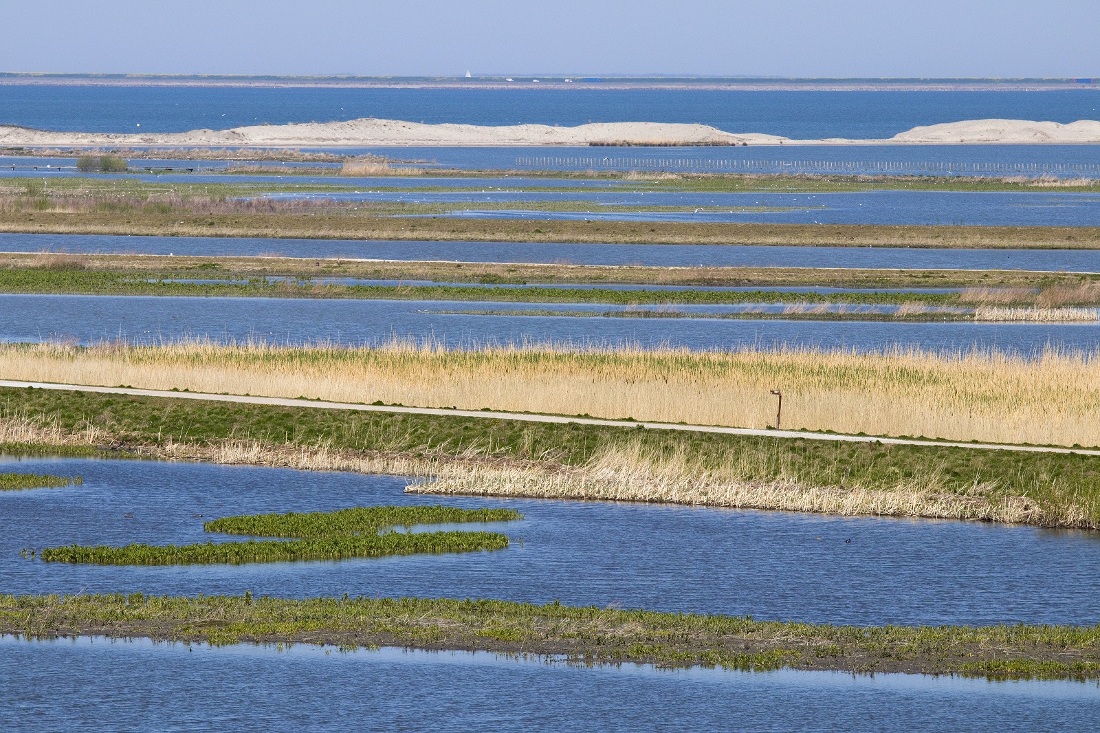 marker wadden wandelen