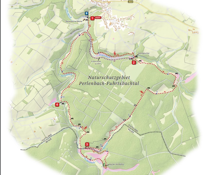 kaart Perlenbach wilde narcis