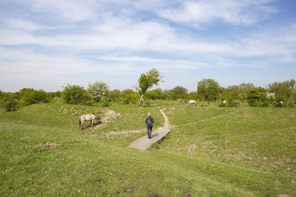 Wandelaar in Slikken van de Heen