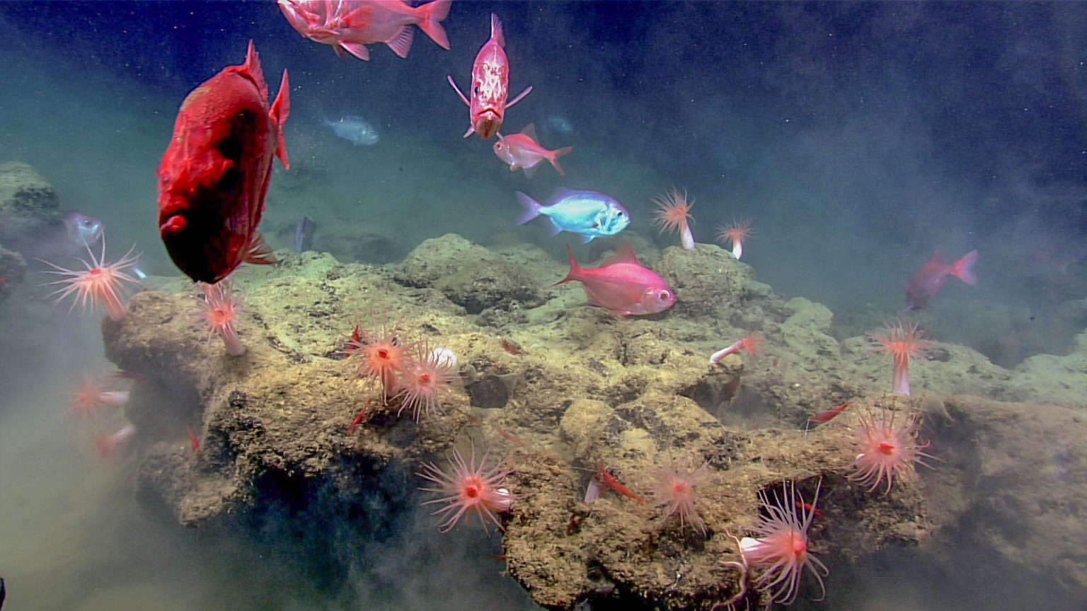 De 10 diepste oceanen en zeeën