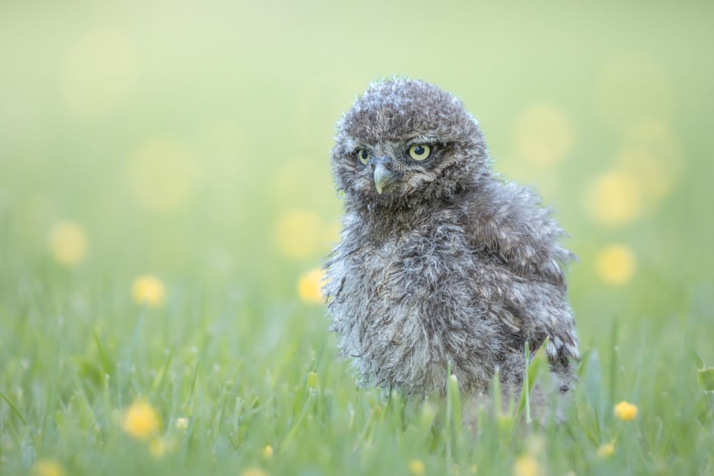 foto van de maand maart