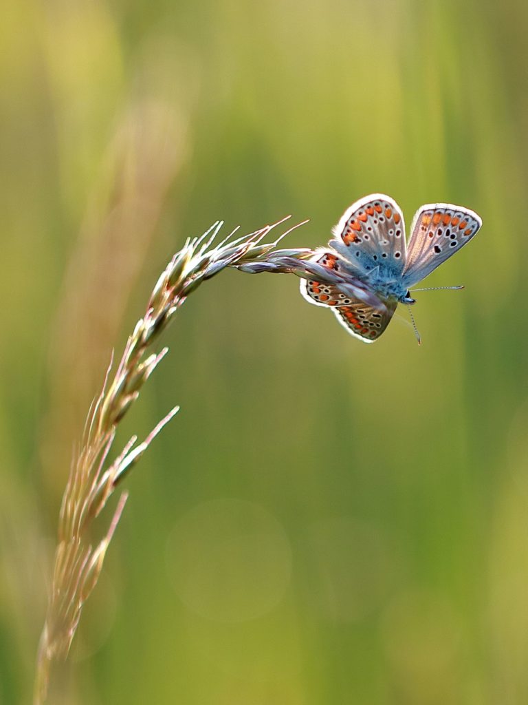 Natuurfotowedstrijd 2023