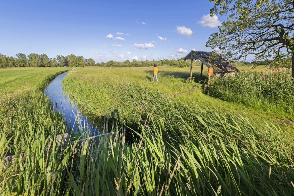 Wandelen in Groningen: door het Westerkwartier