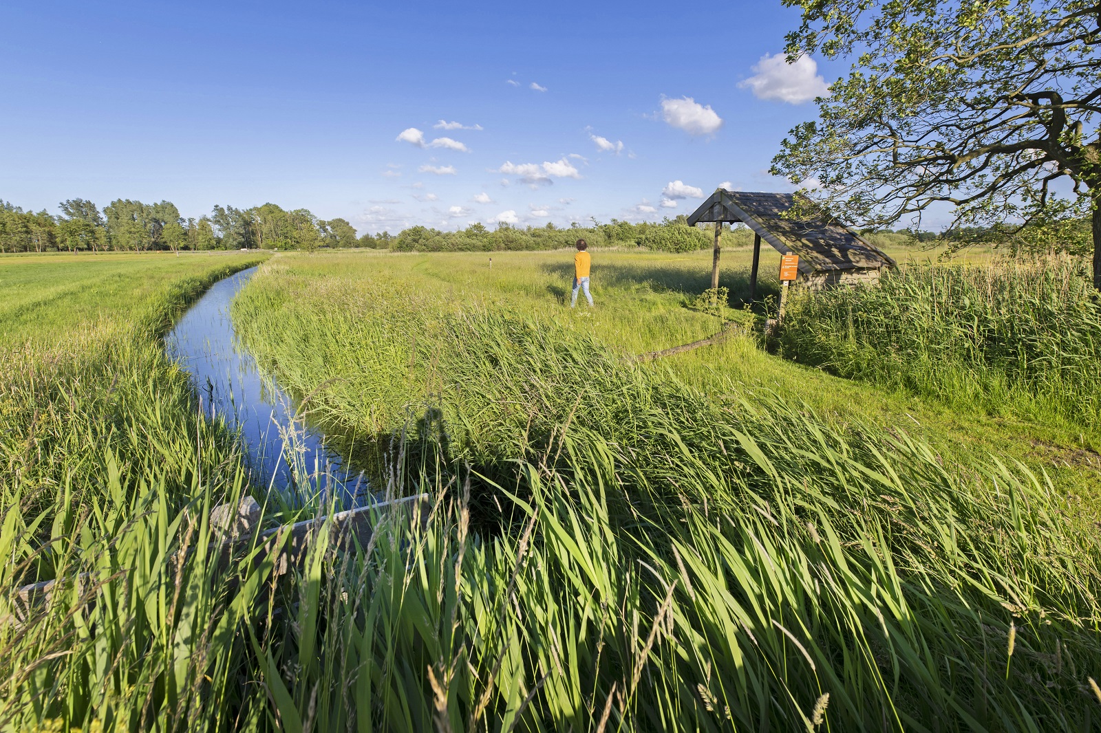 wandelen in Groningen: door hetWesterkwartier