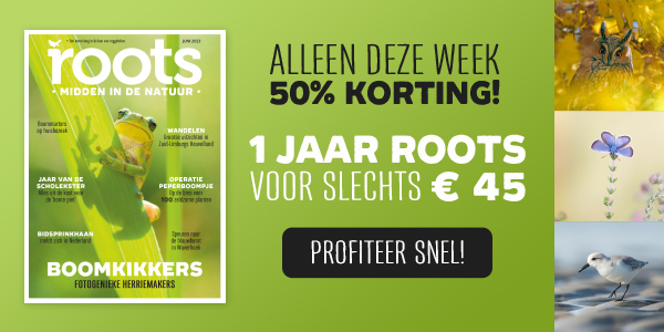 Roots weekdeal 2023