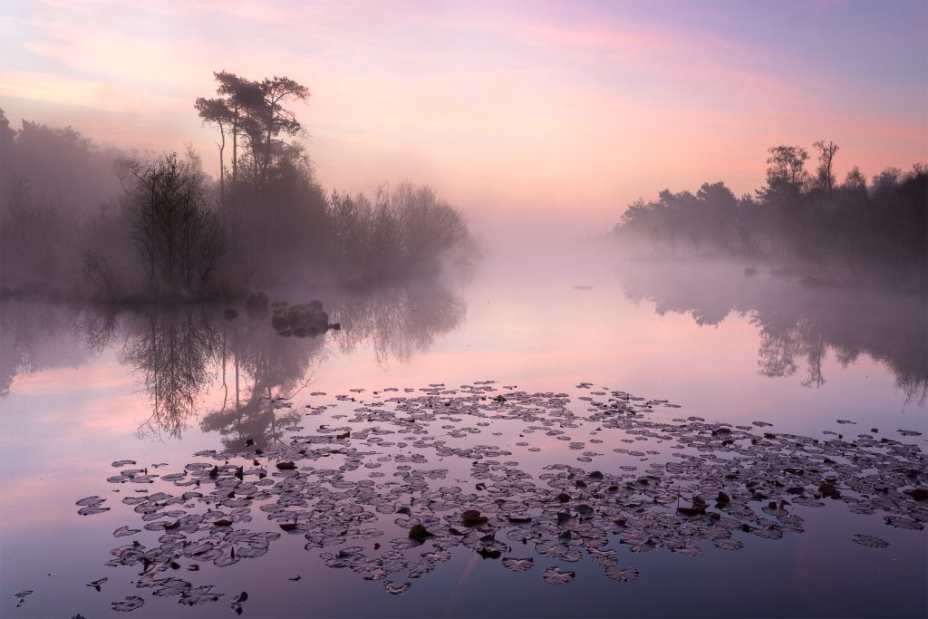 meren, vennen en plassen