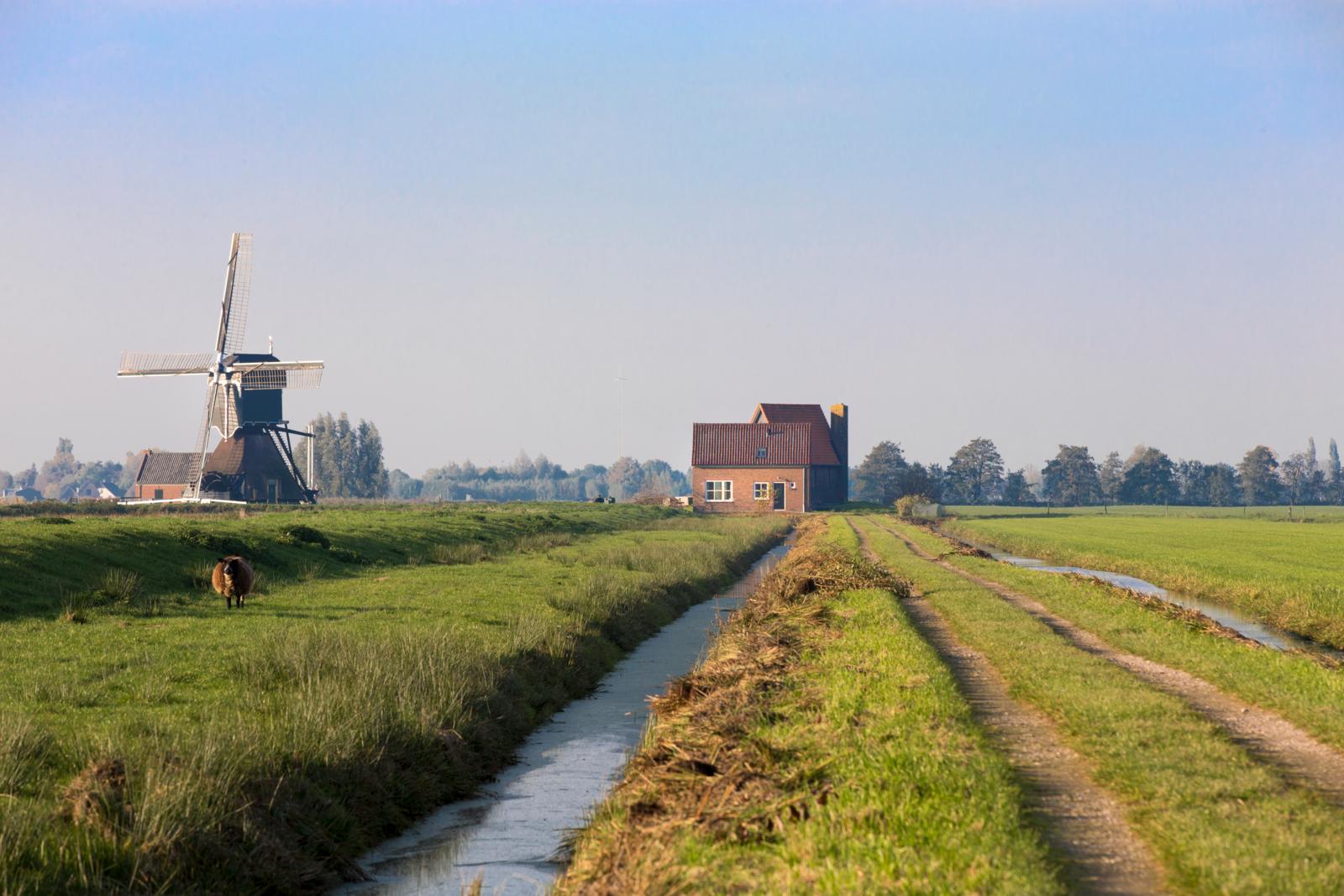 Vakantiewoning Molen Cabauw