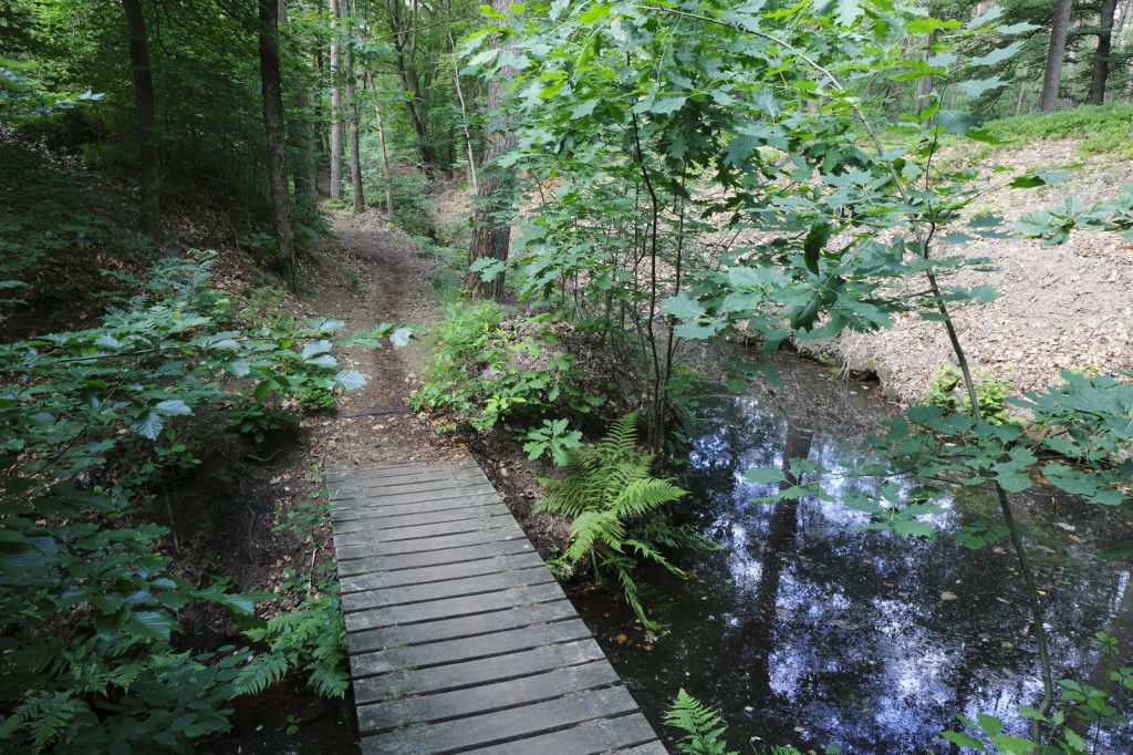 brugje over beekje bij het Roots Natuurpad