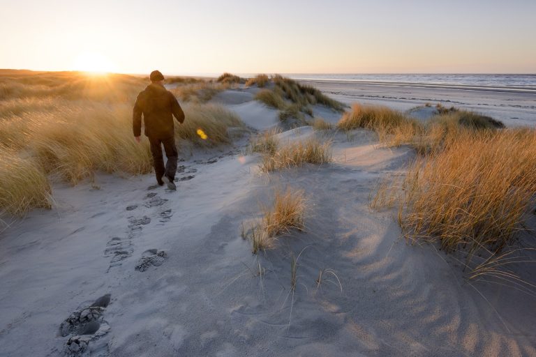 wandelaar in nationaal park schiermonnikoog