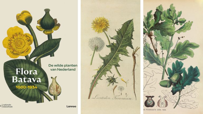 Flora Batava