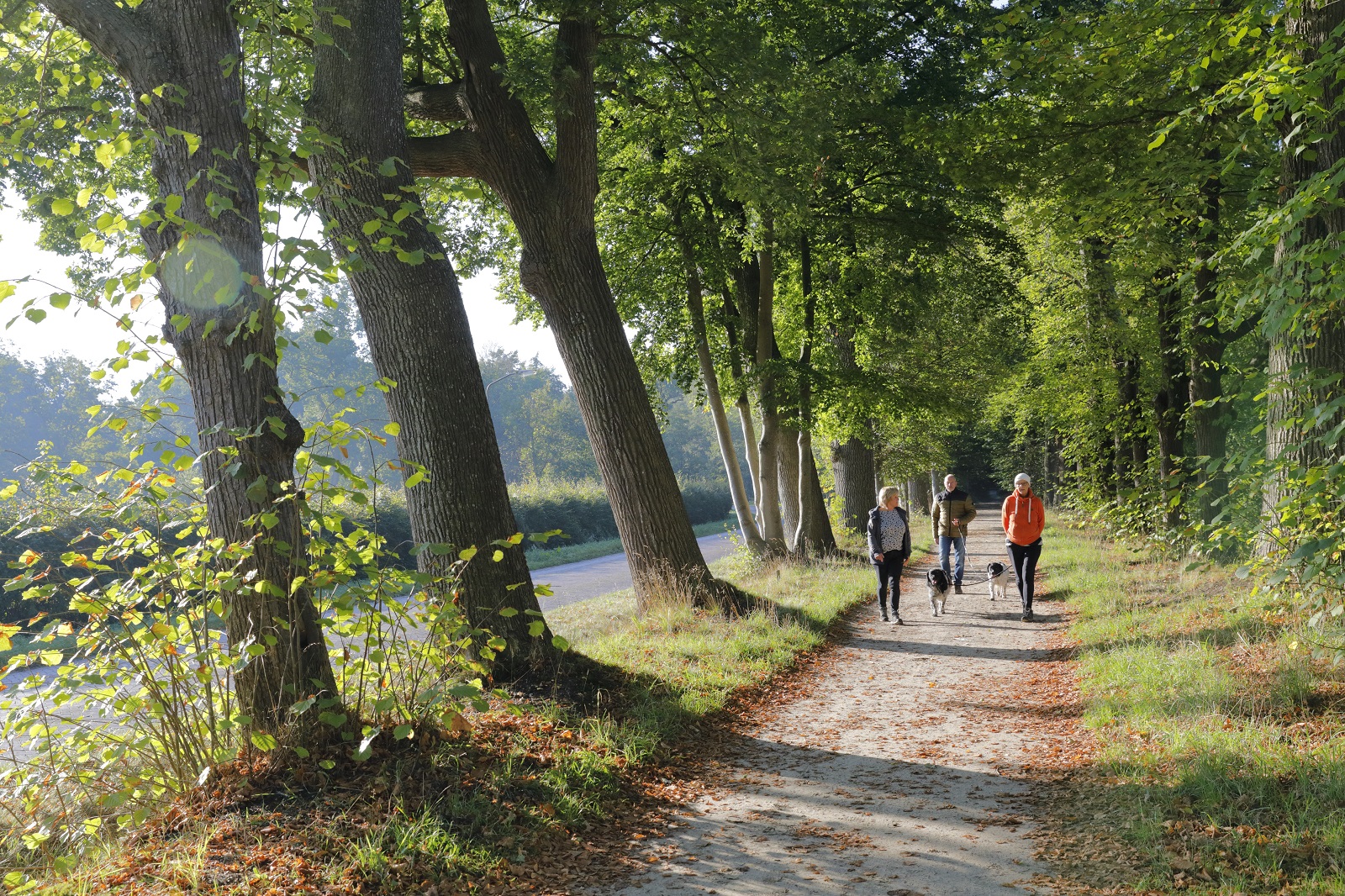 wandelaars rond havezate Mensinge