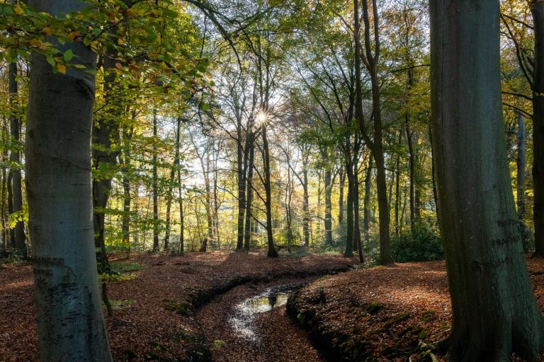 Veluwe