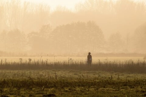 Wandelen Veluwe, wandelaar in de ochtendmist