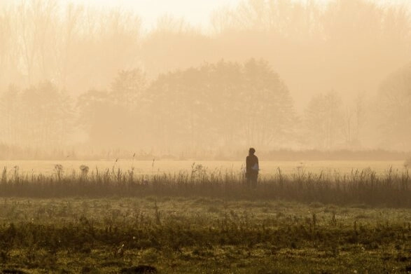 Wandelen Veluwe, wandelaar in de ochtendmist