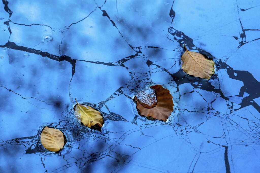 herfstblaadjes op het water