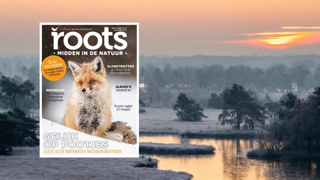 Roots december januari