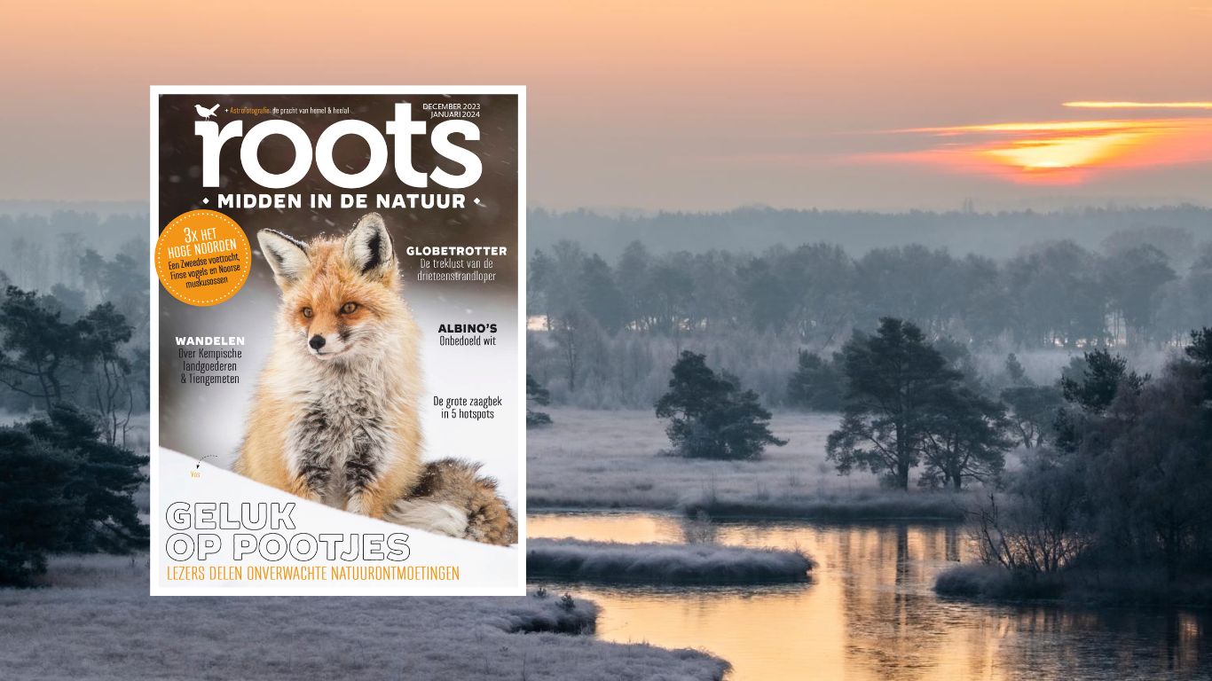 Roots december januari
