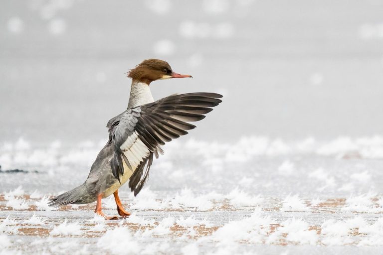 Roots Magazine - Midden in de natuur!