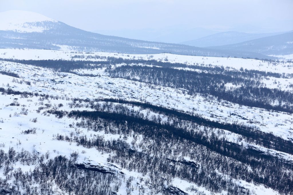 Nationaal park Dovrefjell-Sunndalsfjella 