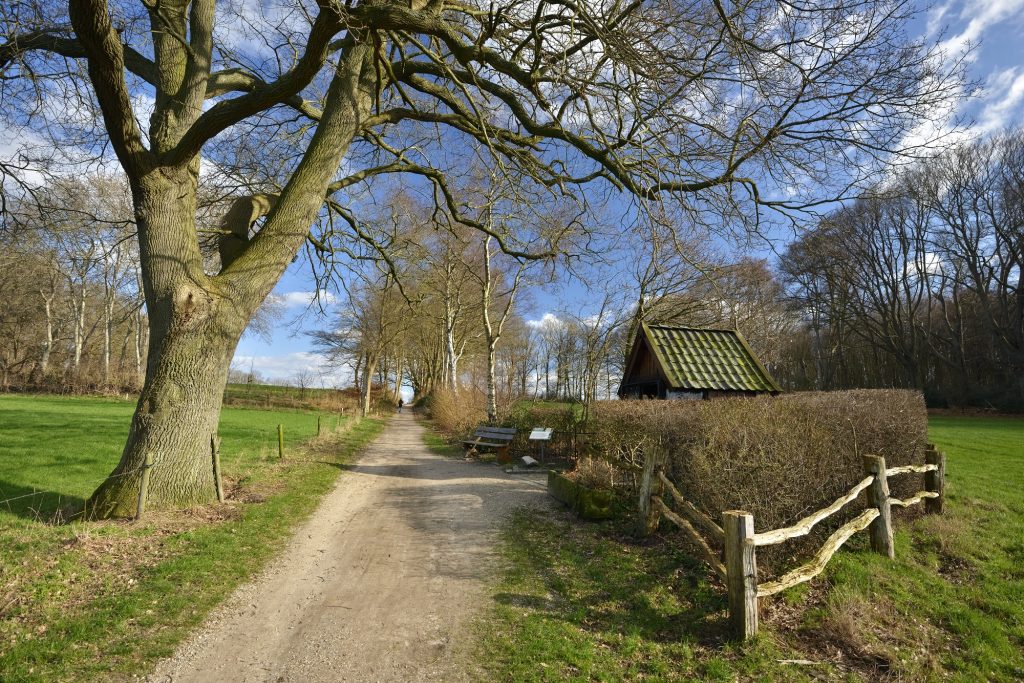 Wandelen Markelo