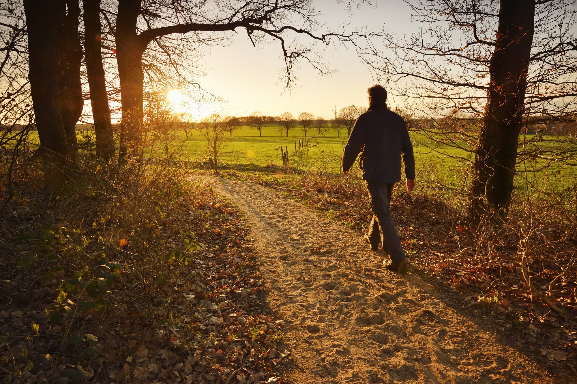 Wandelen Markelo: wandelaar op Markelose Berg