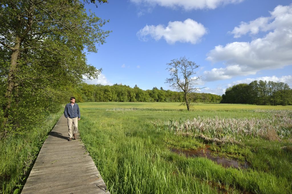 wandelaar in Drenthe