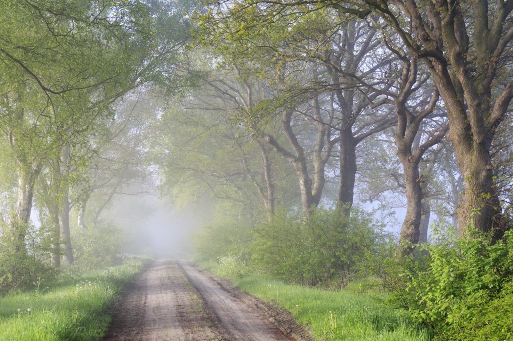 zandweg Drenthe