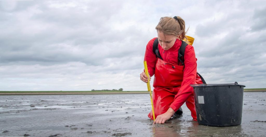 Sea Ranger aan het werk