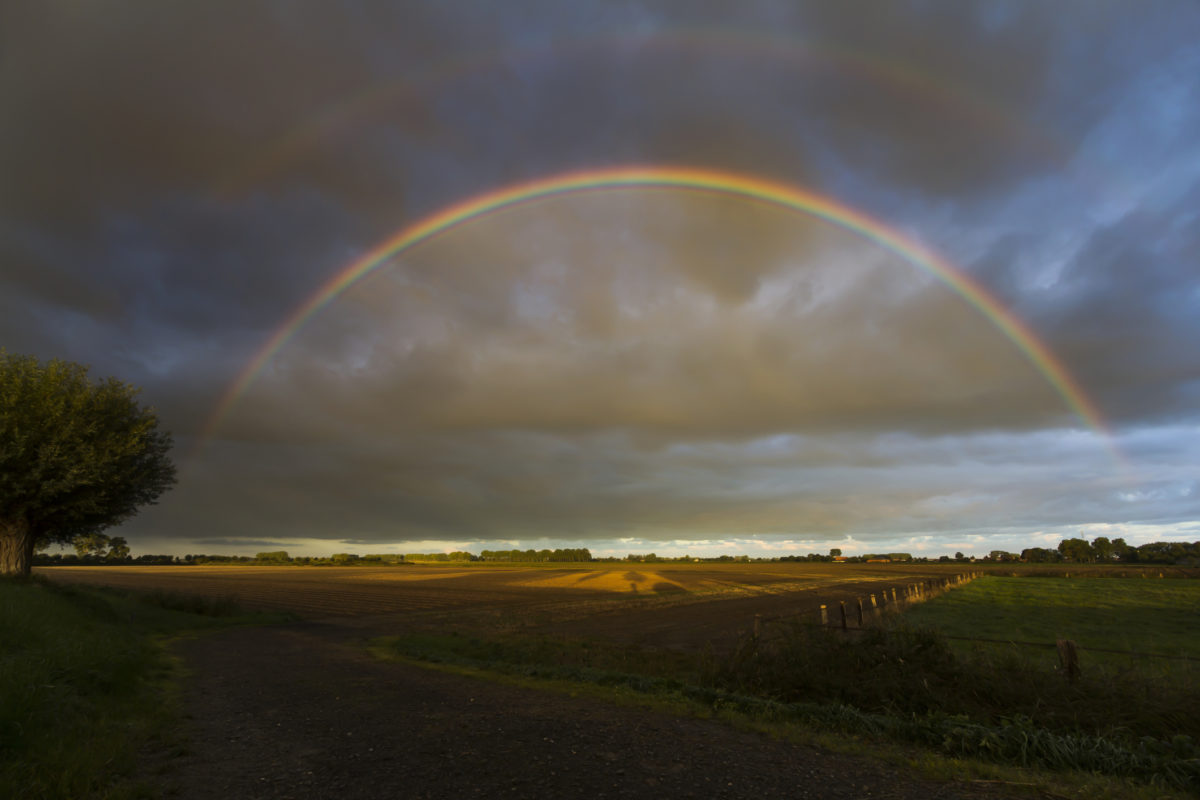 ontstaan regenbogen