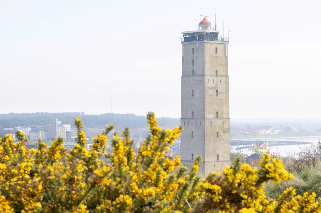 wandelen terschelling vuurtoren de Brandaris