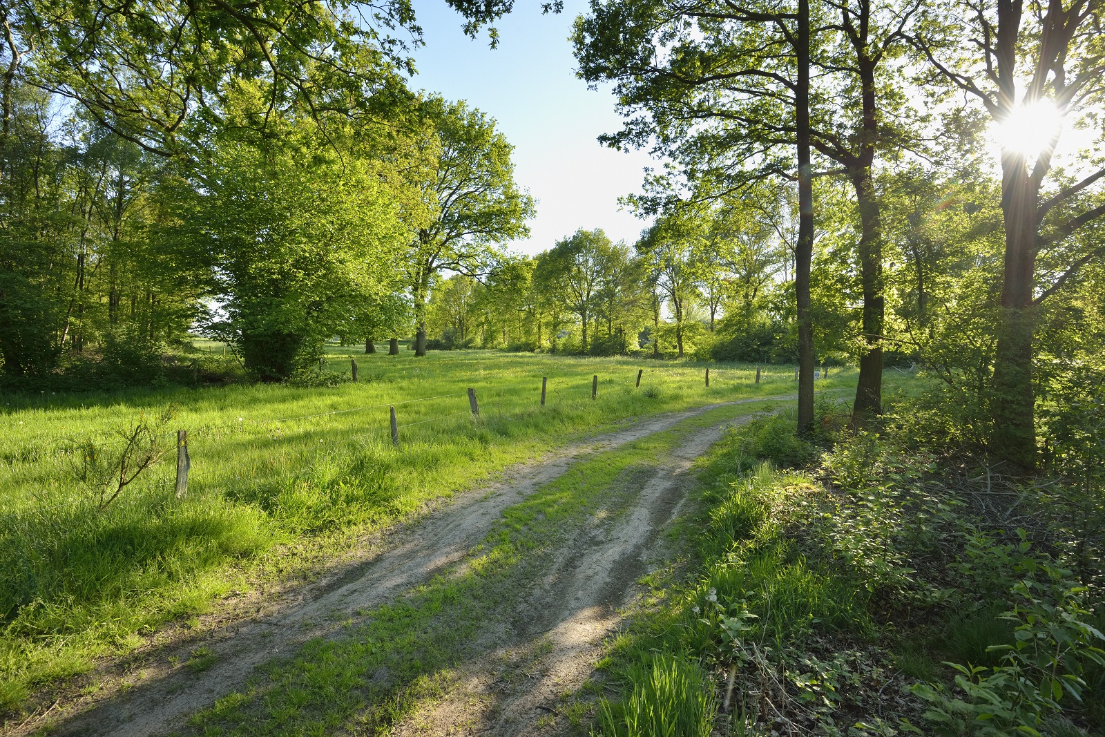 landschap rond kasteel Eerde