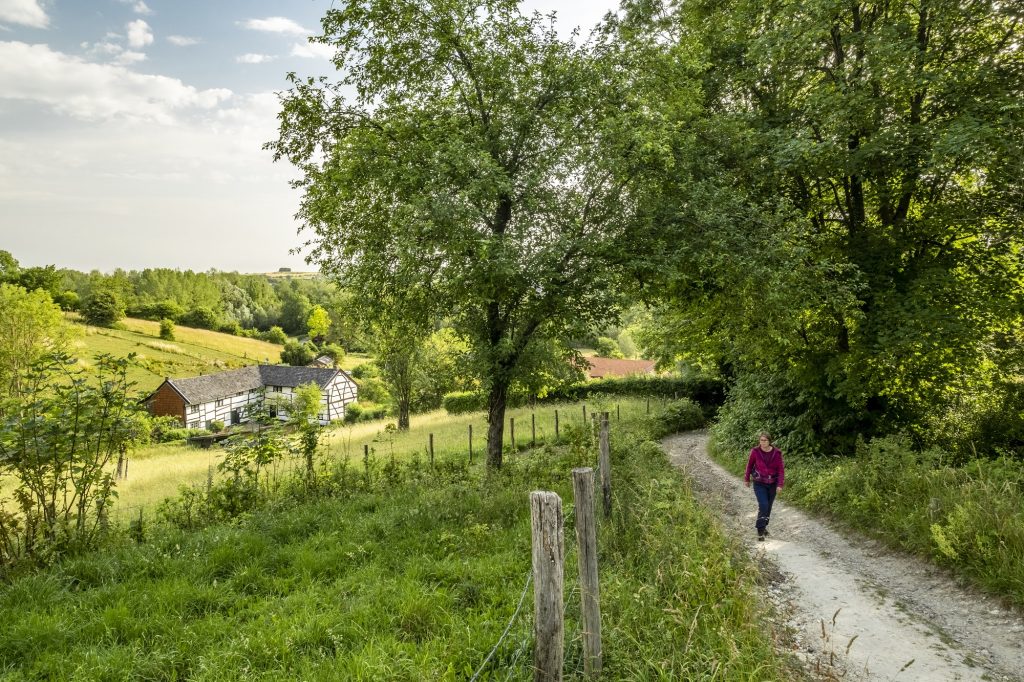 wandelroute rond wijlre in zuid-limburg