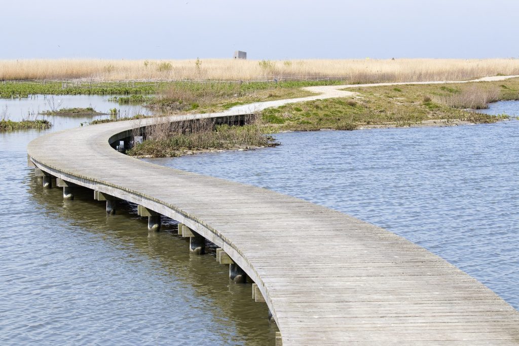 vlonderpad marker wadden