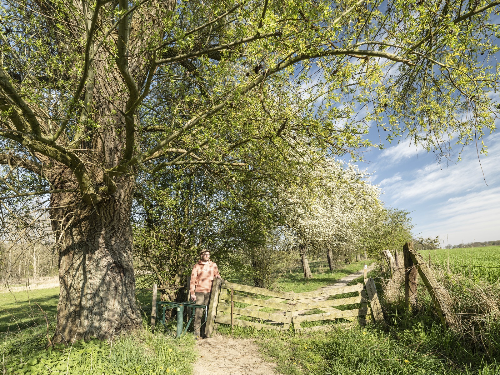 Haspengouw bloesemroute