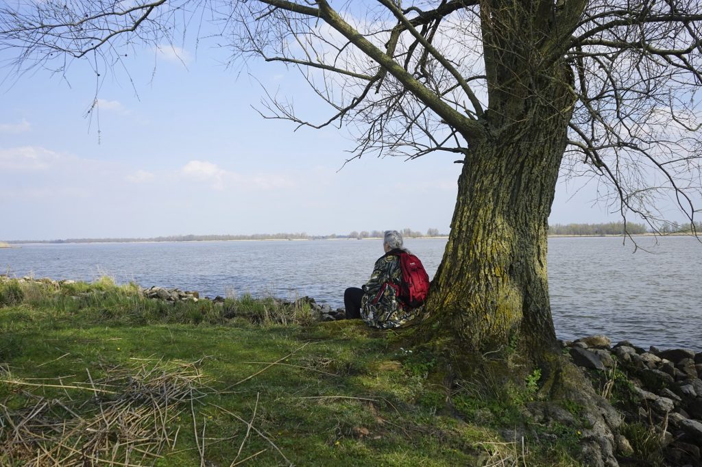 wandelaar bij nieuwe merwede in de dordtse biesbosch