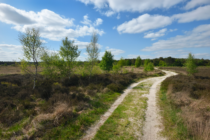 zanweg nationaal park Dwingelderveld