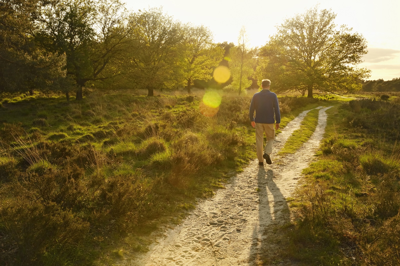 wandelaar nationaal park Dwingelderveld