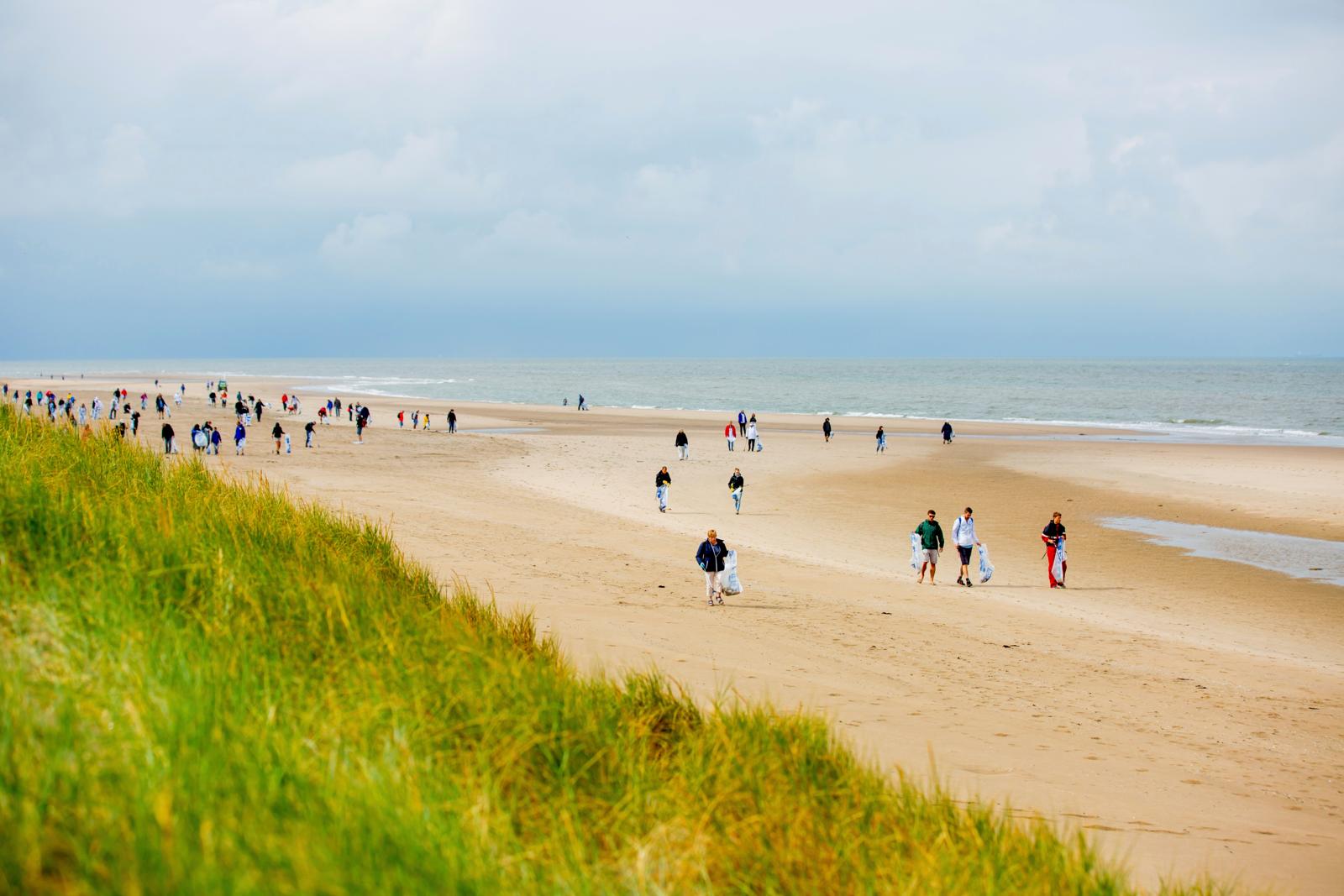 Beach Cleanup