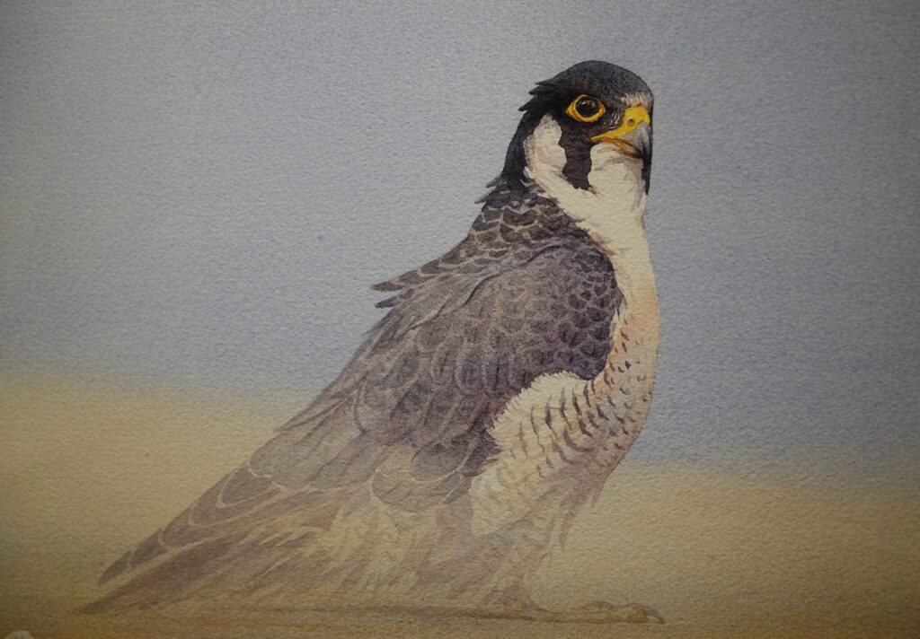 Vogelkunstenaar op reis