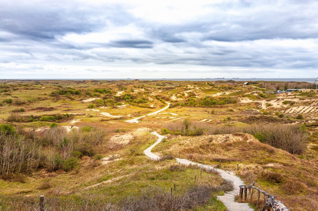 Uitzicht over Berkheide vanaf het Vlaggeduin