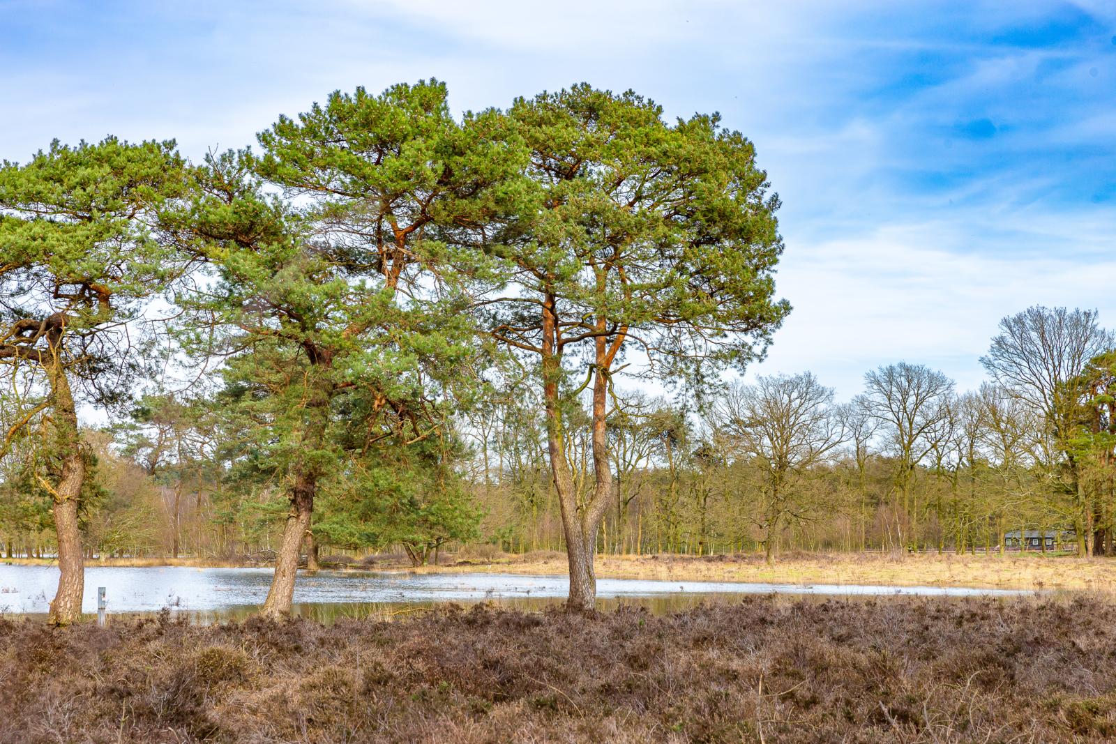 Amerongse berg